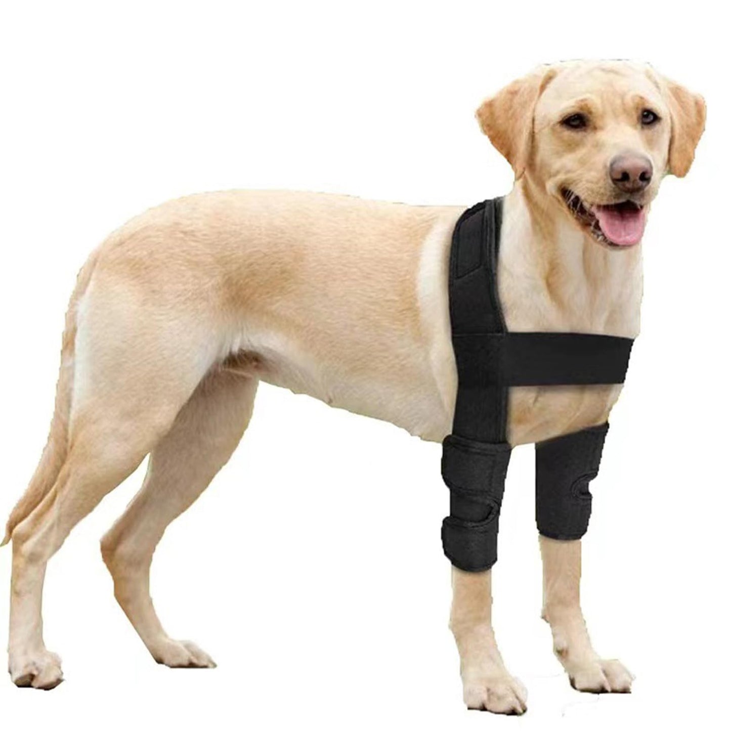 Dog Elbow Brace Dog Shoulder Brace for Elbow Support and Protection Dog Elbow Pads for Elbow Hygroma Arthritis Dysplasia Elbow Calluses Shoulder Dislocation Elbow Brace (L)
